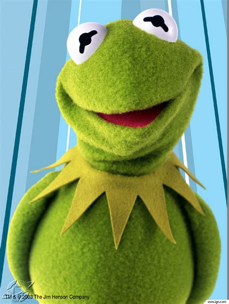 Image Kermit The Frog The Muppets  Idea Wiki Fandom