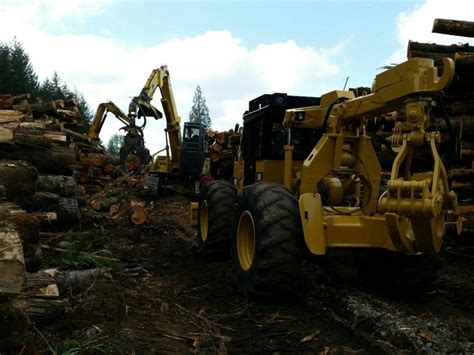 Timber Buyers🔴logging Washington Timber Work Tree Farms Lewis County