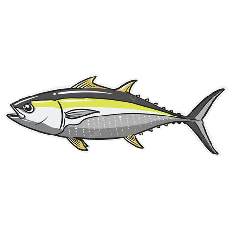 Albacore Tuna Pescado Thunnus Alalunga Tuna Fish Png And Vector With