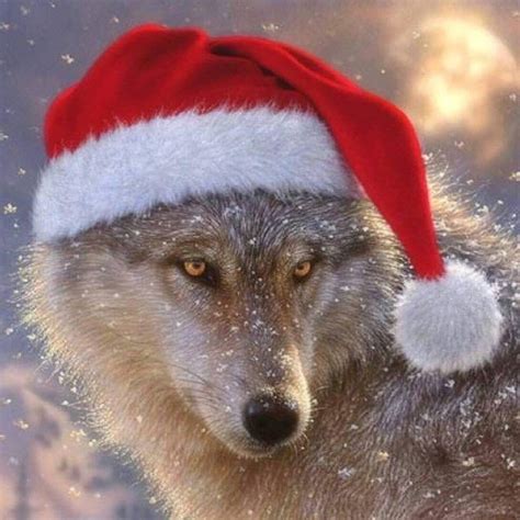 Merry Christmas Wolf Dog Winter Wolves Pet Holiday