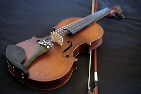 Buying A Violin For Beginners Notestem