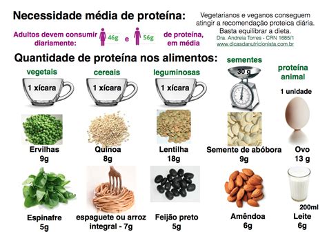 Nutrição Holística Consuma Proteínas De Origem Vegetal Nutrição
