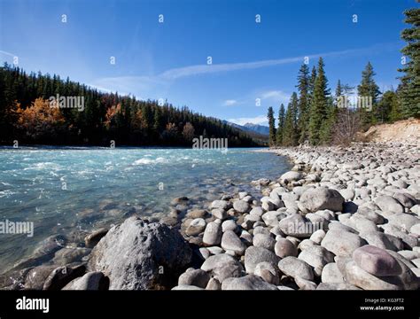 The Athabasca River Flows By The Canadian Rocky Mountains In Alberta