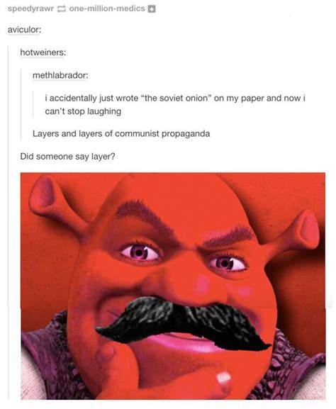 The Soviet Onion Shrek Shrek Memes Tumblr Funny