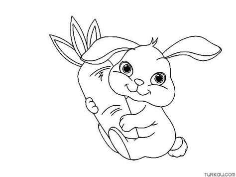 Cute Rabbit Carrot Coloring Page Turkau