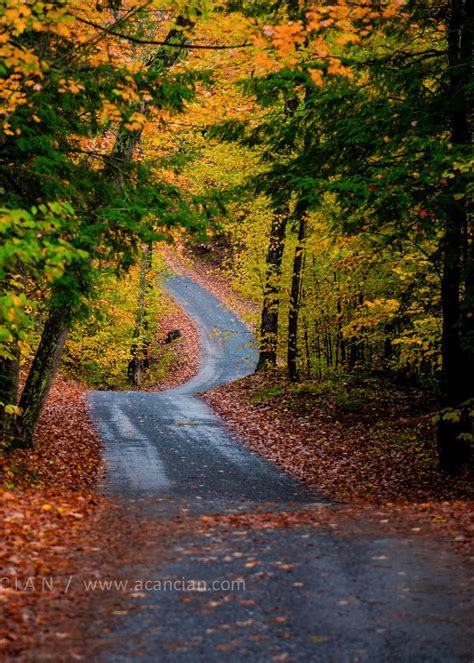 🇨🇦 Winding Road In The Fall Ontario By Alessandro Cancian On 500px 🍂