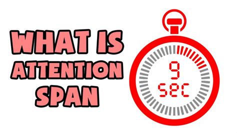 How To Effectively Increase Attention Span