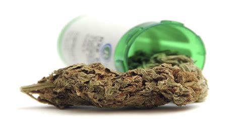 To receive medical marijuana in louisiana, an applicant must first receive a physician's recommendation that says that they have one of the qualifying conditions or a debilitating condition. DO YOU NEED TO SEE A DOCTOR TO GET A FLORIDA MEDICAL ...