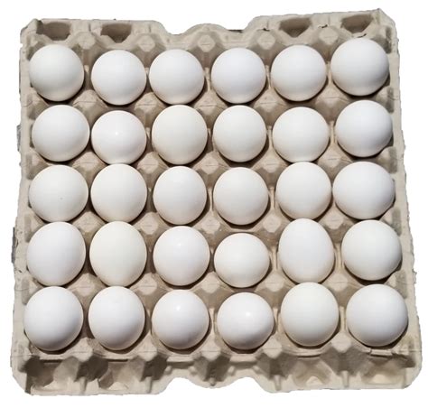 Poultry White Egg At Rs 530piece White Eggs In Salem Id