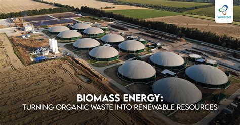 Biomass Energy Turning Organic Waste Into Renewable Resources