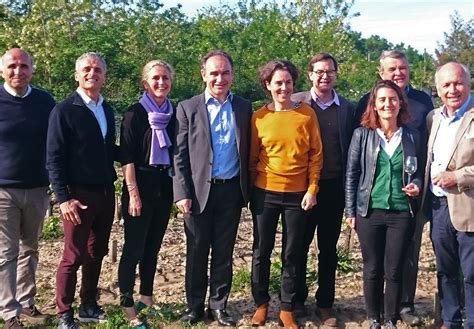 Find a wide catalog of wines online in vila viniteca. Agence Fleurie