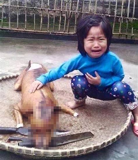 越南人疯吃狗肉 80民众喜好这一味 世界愛犬聯盟