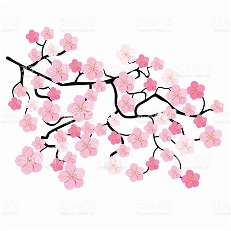 Cherry Blossom Tree Drawing Images For Cherry Tree Flower Drawing