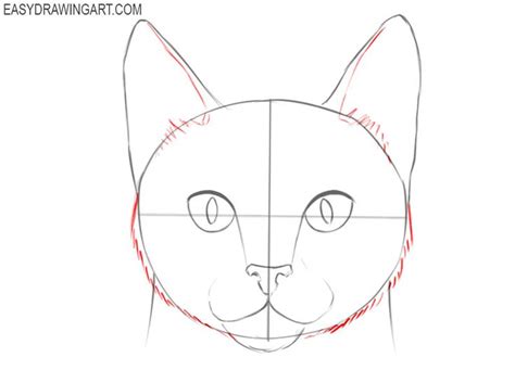 How To Draw A Cat Face Easy Drawing Art In 2020 Cat Face Drawing
