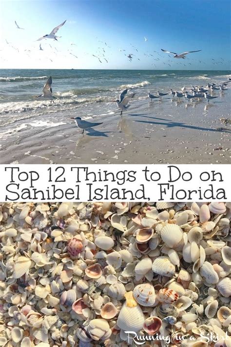 The Best Things To Do In Sanibel Island Sanibel Island Sanibel Island Florida Captiva Island