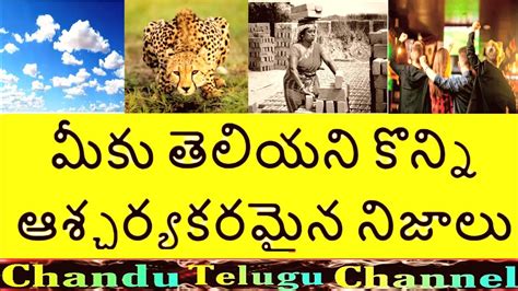 top 15 interesting and amazing facts telugu unknown facts in telugu telugu badi telugu