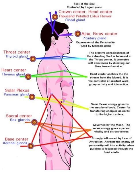 Science Of Chakras Chakra Chakra Healing Pranic Healing
