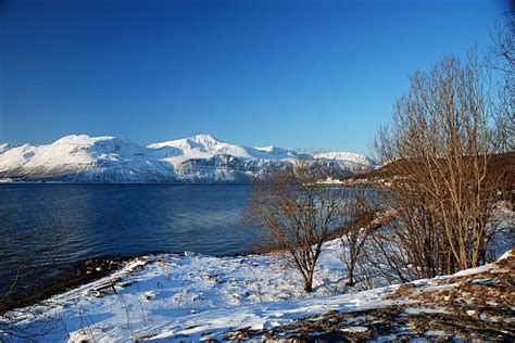 Lyngen Alps North Norway Land Of Midnight Sun Fjord Planet Earth