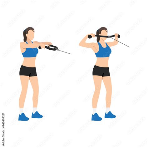 Woman Doing Face Pull Rear Felt Pull Exercise Flat Vector