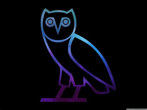 Blue Owl Wallpapers Top Free Blue Owl Backgrounds Wallpaperaccess