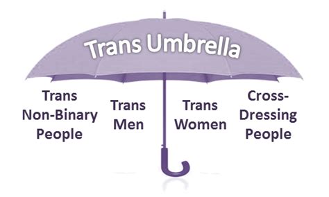 Trans Umbrella — Scottish Trans Alliance