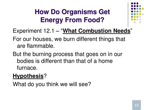 How Do Organisms Get Energy From Food Ppt Download