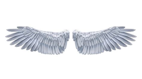 Looping Angel Wings Flapping Vfx Results Free Search Hd K