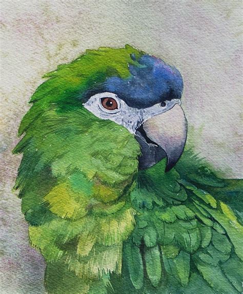 Top 10 Watercolor Parrot Painting Ideas And Inspiration