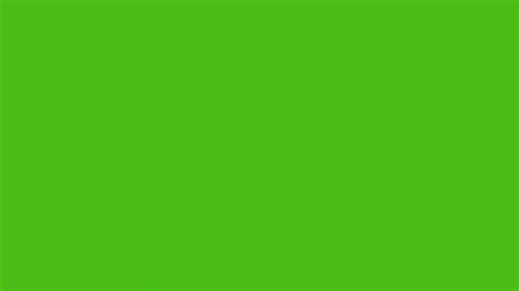 Free Solid Green Zoom Backgrounds Realtec Porn Sex Picture