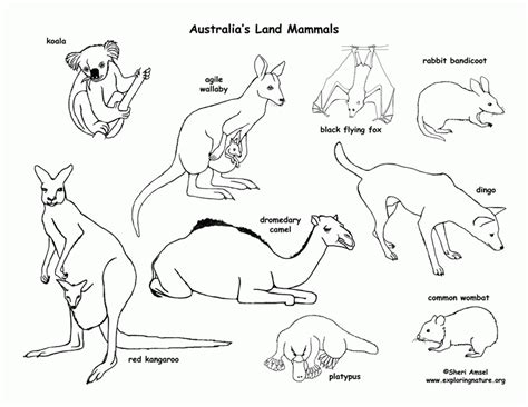 Desert Animals Coloring Pages - Coloring Home