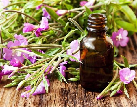 Bach Flower Therapy for Stress Relief - NewBeauty