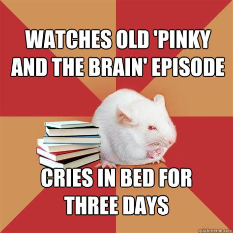 Brain enters a rhythmic gymnastics competition with mr. Watches old 'Pinky and the Brain' episode cries in bed for ...