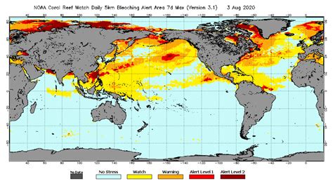 Ocean Warming Threatens Coral Reefs And Soon Could Make It Harder To