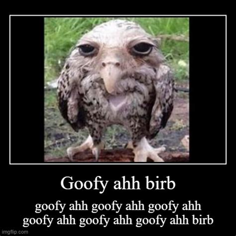 Goofy Ahh Birb Imgflip