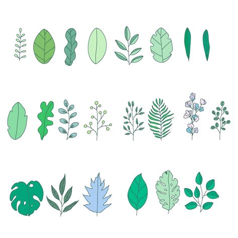 Premium Vector Hand Drawn Leaves Collection