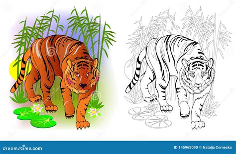 Fantasy Illustration Of Cute Tiger In The Jungle Colorful And Black