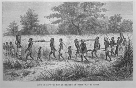 The Slave Hunt Capture And Captives Black History Month