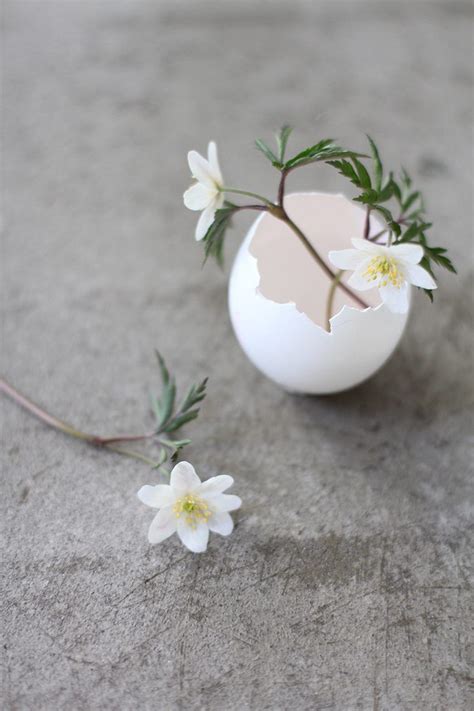 Eggshells Made Into Flower Vases For Spring Easy Easter Decorations