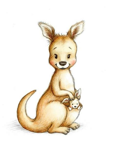 Pin By Maria Eduarda On Animation Kangaroo Art Kangaroo Illustration