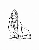 Hound Basset Drawing Sketch Lafree John Gesture Drawings Getdrawings Dog sketch template