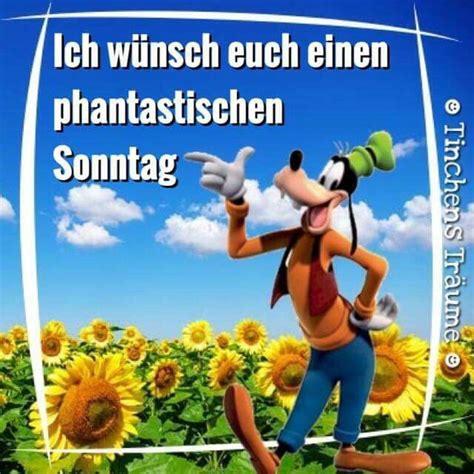 Sprüche, schöne gedichte, kurze zitate, lustige texte, weisheiten rund um den sonntag sonntagszitate, spruch, weisheit, zitat, gedicht kurz, text sonntagssprüche für whatsapp bilder. Sonntag | Sonntag, Schönen sonntag sprüche, Glückliches ...
