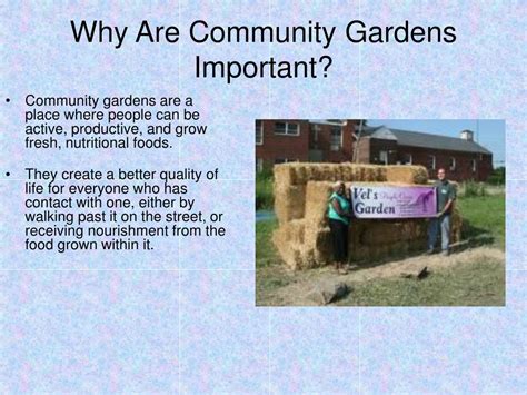 Ppt Community Garden Project Powerpoint Presentation Free Download