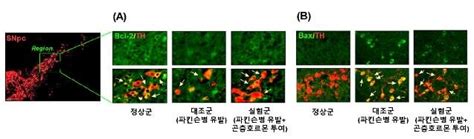 때문에 근본적 질병조절 치료제에 대한 수요가 크다. 곤충 허물 벗을 때 나오는 호르몬이 파킨슨병 개선한다 | 연합뉴스