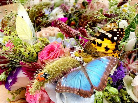 Blümchenkranz Mit Schmetterlingen Foto And Bild Sommer Blume Blumen