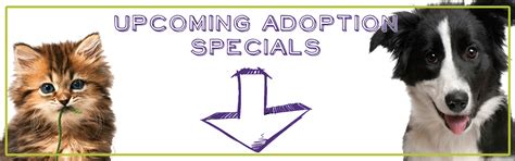 Feb 11, 2014 · to make an adoption appointment for specific animal, follow the process below: Adopt A Pet / Search Adoptable Pets