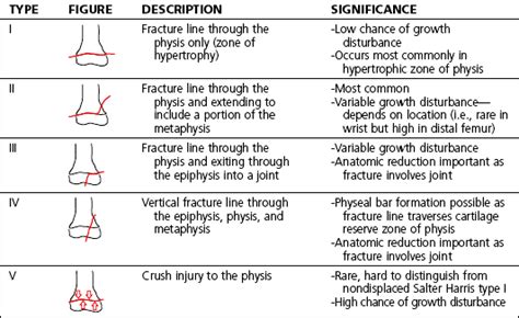 Pediatrics | Musculoskeletal Key