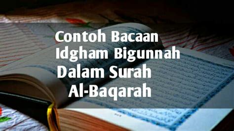 Contoh Bacaan Idgham Bighunnah Pada Surat Al Baqarah Viral Update
