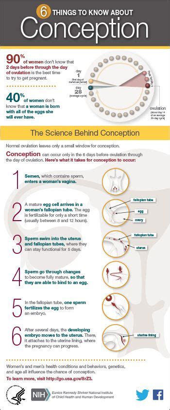 Pin On Good To Know Infographics From The Nih And Beyond