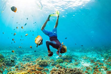 Scuba Diving In Gold Coast Book Now For The Best Deals