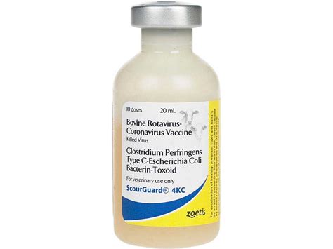 ScourGuard 4KC Cattle Vaccine Zoetis Animal Health - Combination | Cow